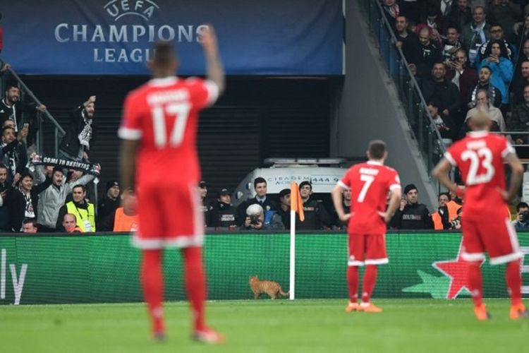 Pertandingan Liga Champions antara Besiktas dan Bayern Muenchen di  Besiktas Park, Istanbul, sempat terganggu karena ada kucing masuk ke lapangan, 14 Maret 2018.  