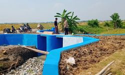 Berkat Embung, Produksi Petani di Rengasdengklok  Meningkat 