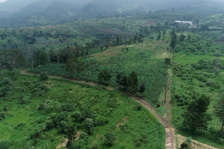 Bank Tanah Kelola 34.806 Hektar Lahan, 33,9 Persen buat Reforma Agraria