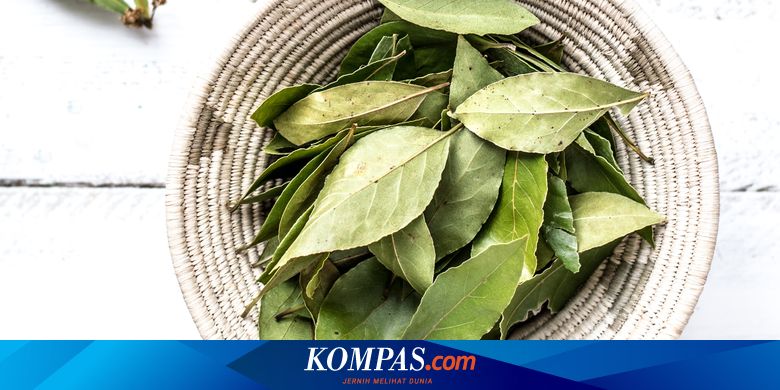 Apa Itu Daun Salam? Pengharum Masakan yang Punya Segudang ...