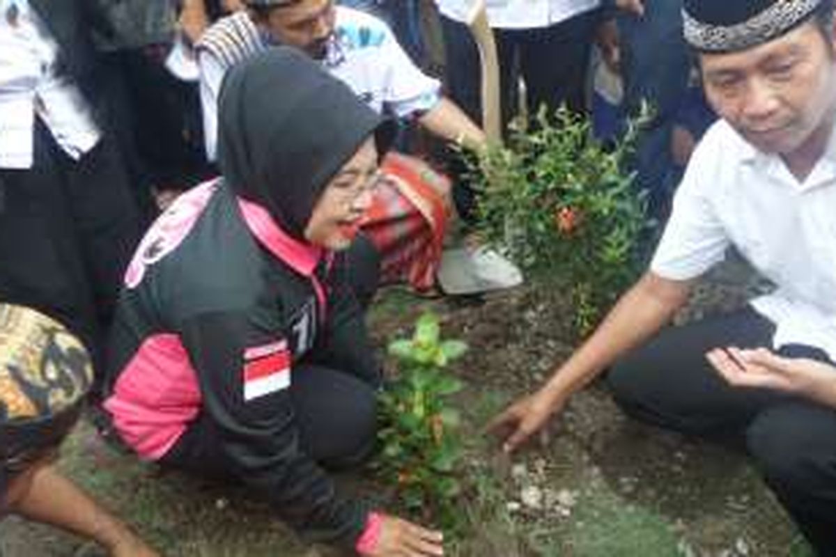 Sylviana Murni menanam pohon di Kelurahan Rorotan, Jakarta Utara, Senin (28/11/2016)