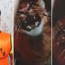 Perdagangan Satwa Liar di Lampung Digagalkan, Seekor Kucing Hutan Diselamatkan