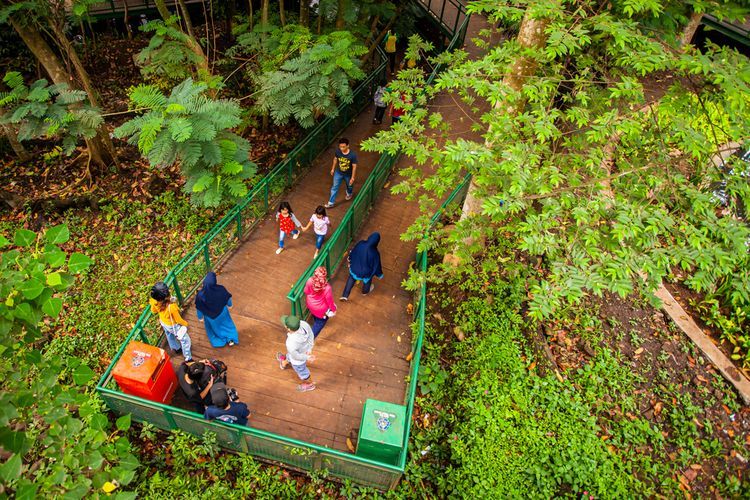 Taman Hutan Babakan Siliwangi di Kota Bandung