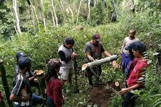 Cerita Kepala Desa dan Warga di Manggarai Timur, Rawat Sumber Mata Air dengan Tanam Anakan Bambu