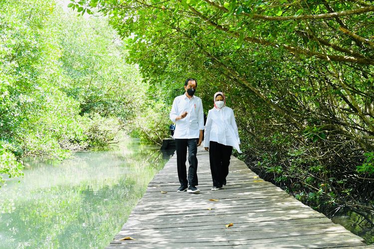 Presiden dan Ibu Negara Iriana Joko Widodo meninjau hutan mangrove di Tahura Ngurah Rai, Kabupaten Badung, Bali, Jumat (08/10/2021).