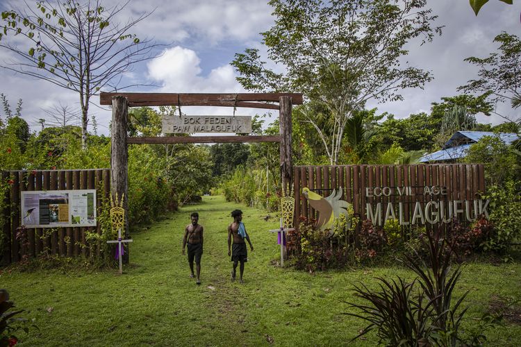 Pemandangan ecovillage Malagufuk di hutan hujan dataran rendah Malagufuk di Desa Malagufuk, Kabupaten Sorong, Papua Barat Daya