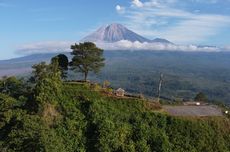 Gunung Wayang di Lumajang yang Indah dengan Panorama Atap Pulau Jawa