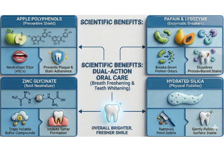Tak hanya menjaga kesegaran napas, varian Fresh White juga disebut memiliki mekanisme pembersihan bertahap yang tetap aman bagi enamel. Zinc Glycinate berfungsi mengikat senyawa sulfur penyebab bau tak sedap sehingga membantu menjaga napas lebih segar selama berpuasa.


