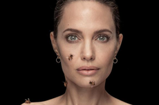 Angelina Jolie Tak Mandi 3 Hari Demi Pose Foto Bersama Lebah Hidup