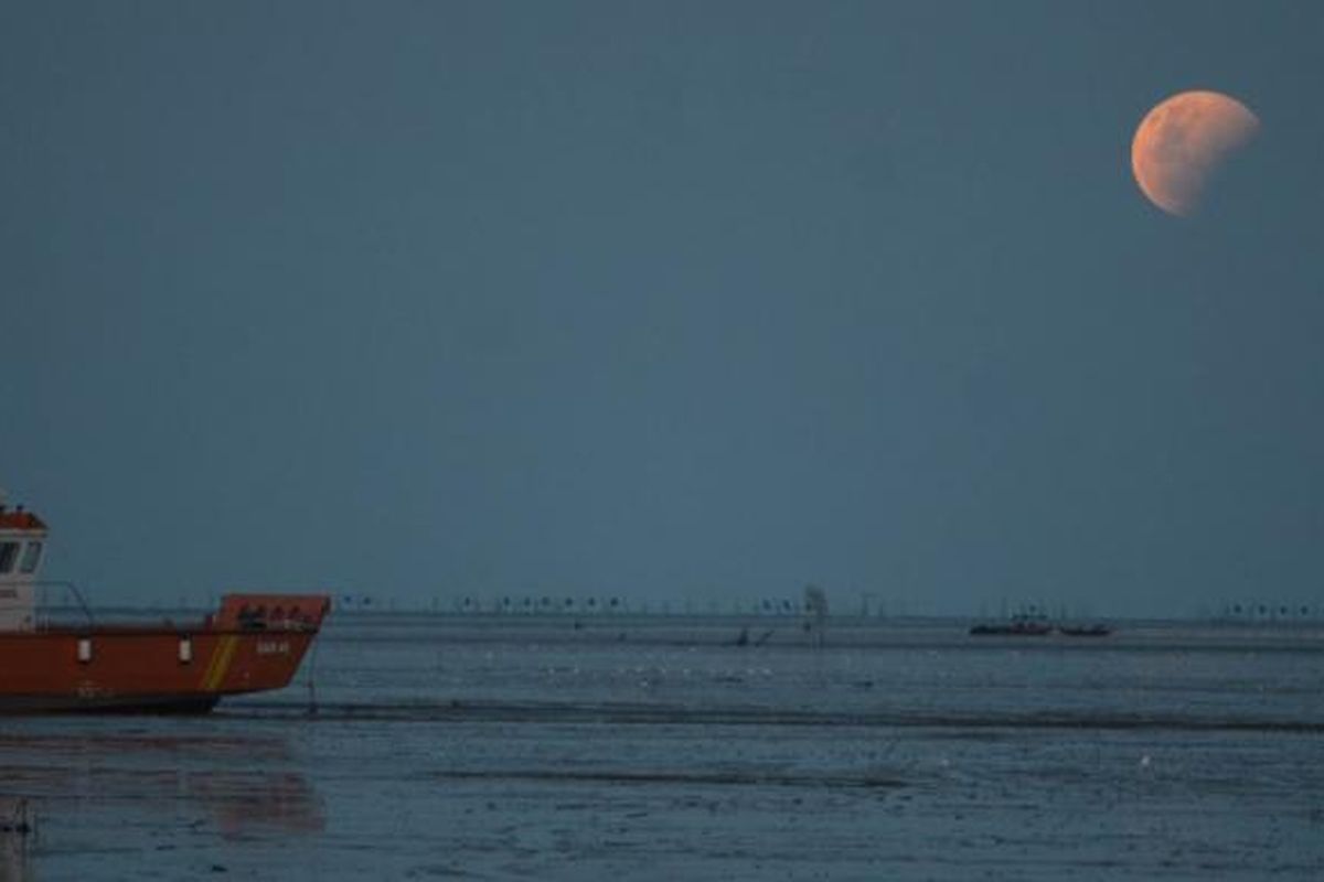 Gerhana bulan terlihat di Pantai Kenjeran, Surabaya, Sabtu (4/4/2015) petang. Puncak gerhana bulan tersebut berlangsung lebih pendek dari biasanya, hanya 4 menit 43 detik. 