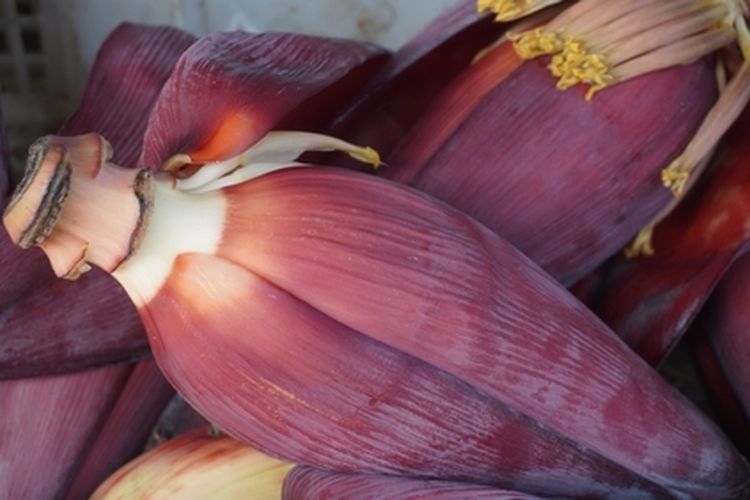 Ilustrasi jantung pisang