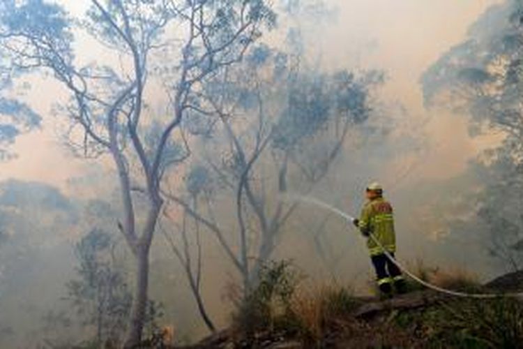 Kebakaran hutan Australia diduga disebabkan oleh latihan artileri militer beberapa waktu lalu.