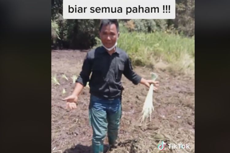 Beredar di media sosial video berdurasi empat menit yang memperlihatkan seorang pria yang murka karena sebagian lahan di kawasan Ranca Upas, Bandung, yang ditanami bunga edelweis rawa, rusak disebabkan kegiatan motor trail.