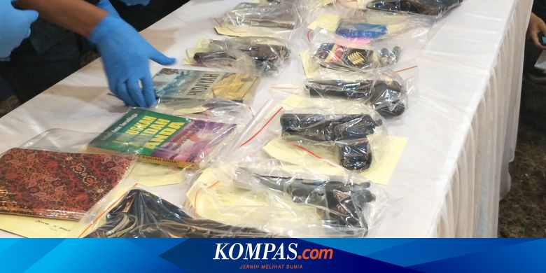 Siti Elina, Penerobos Istana yang Bawa Pistol, Divonis 4 Tahun Penjara