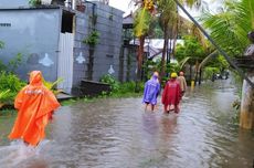 Banjir dan Pohon Tumbang di Gianyar, Terjadi akibat Cuaca Ekstrem