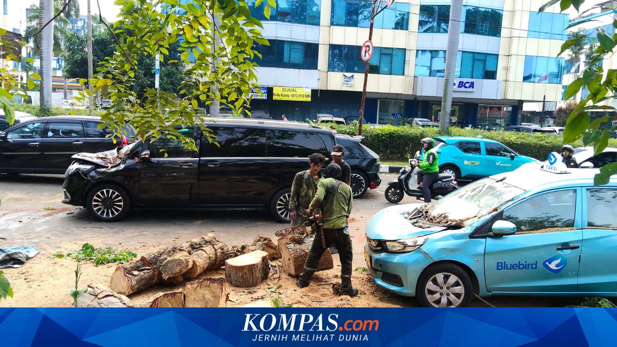 Pohon Tumbang Timpa Dua Mobil di Kelapa Gading Jakut, 2 Orang Terluka