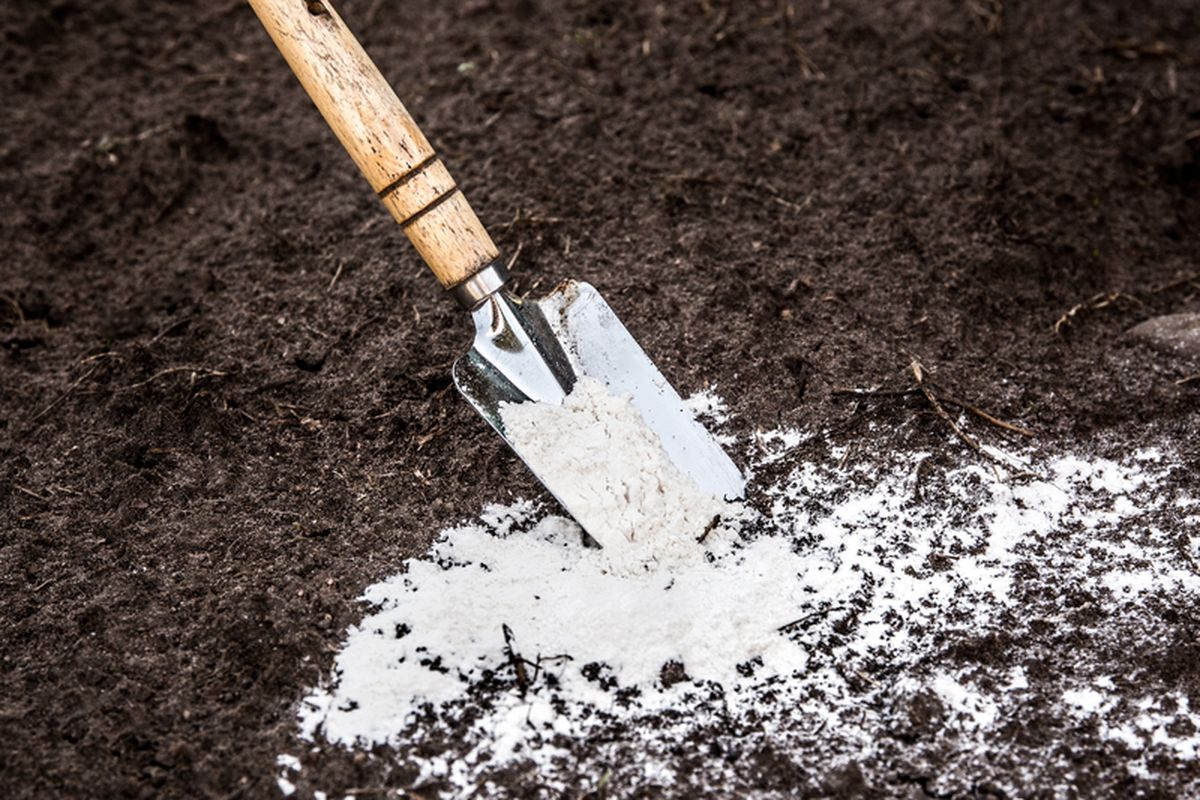 Ilustrasi kapur pertanian, kapur dolomit. 