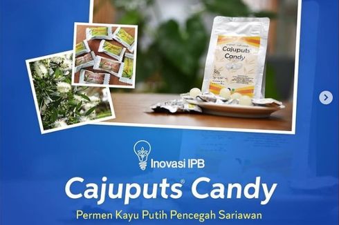 Ragam Khasiat Cajuput Candy, Permen Kayu Putih Inovasi Peneliti IPB