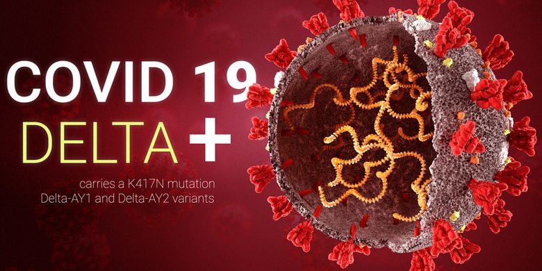 7 Fakta Varian Delta Plus Dari Gejala Hingga Cara Mencegahnya Halaman All Kompas Com
