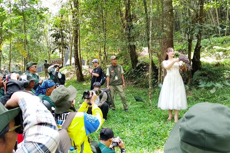 Taman Safari Gelar Lomba Foto dan Video Satwa, Ada 2 Kategori Baru