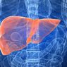 10 Kebiasaan Sehari-hari yang Bisa Merusak Liver Tanpa Disadari, Apa Saja?