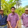 Kala Petani di Pinrang Sulsel Pasrah Tanam Cokelat karena Harga Kakao Anjlok...
