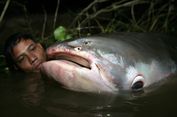 Penghidupan Jutaan Orang Asia Tenggara dari Sungai Mekong Terancam Tambang Ilegal di Myanmar