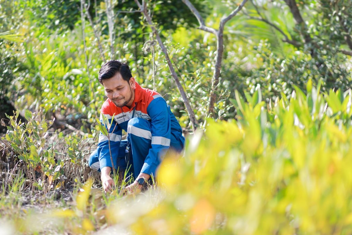 PT Pertamina (Persero) dan Kementerian Kelautan dan Perikanan (KP) Republik Indonesia (RI) mengembangkan Kawasan Mangrove Nasional Kamal Muara di Jakarta Utara seluas 2,5 hektar (ha) sebagai upaya menjaga ekosistem di wilayah pesisir.

