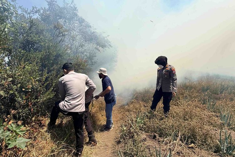 Kebakaran Kembali Terjadi di Bromo, Kali Ini di Bawah Jembatan Kaca