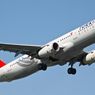 Kemenhub Masih Selidiki Kasus Pemukulan Pramugara Turkish Airlines