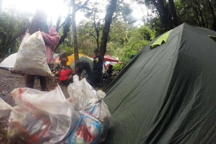 Seorang pendaki Gunung Gede Pangrango Jawa Barat tengah mengumpulkan sampah di dalam kawasan konservasi untuk kembali dibawa turun. Sayangnya, masih ada oknum pendaki yang meninggalkan jejak sampah di gunung.