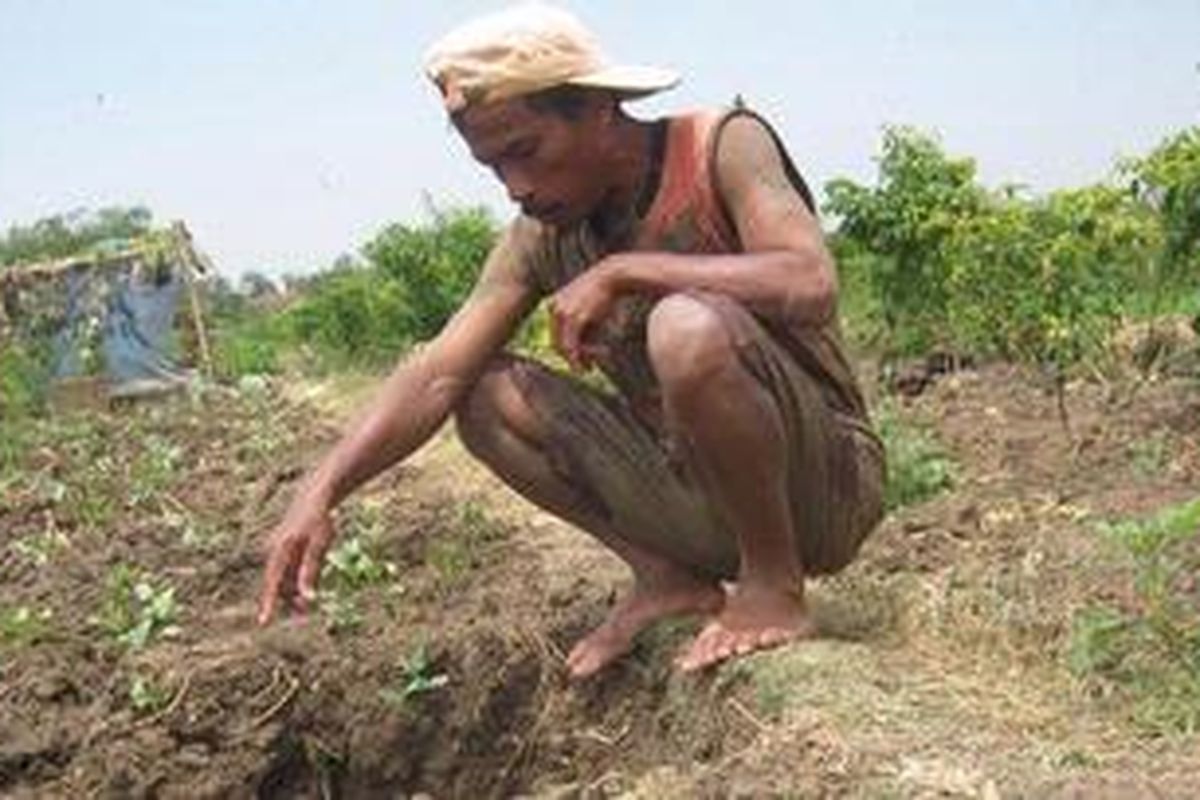 Salah satu petani Brangsong Kendal Jawa Tengah, yang memperlihatkan sumur buatanya di sawah