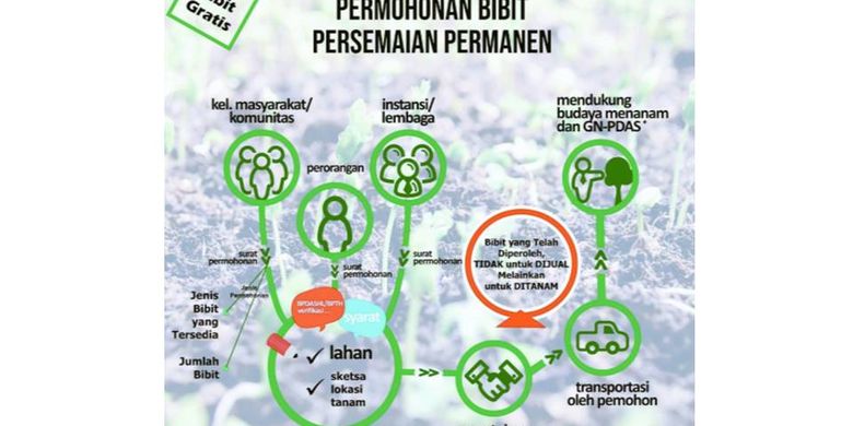 Mau Bibit Gratis Dari Kementerian Lingkungan Hidup Ini Caranya