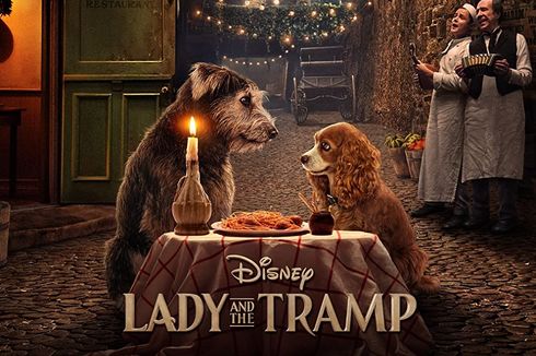 Sinopsis Lady and the Tramp, Kisah Cinta Anjing Jalanan dan Rumahan