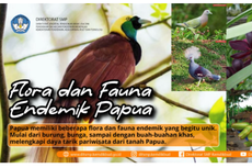 Siswa Yuk Kenali Keanekaragaman Flora dan Fauna Asli Papua