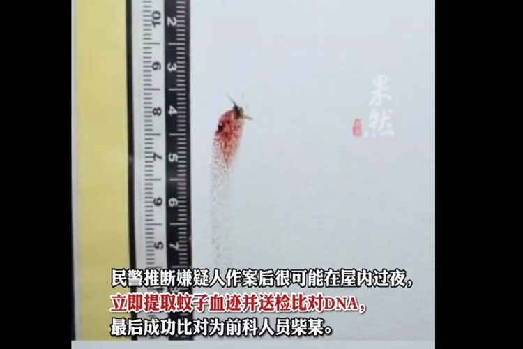 Tangkapan layar dari video yang menunjukkan noda darah nyamuk mati di dinding sebuah apartemen di Fuzhou, Provinsi Fujian, China.