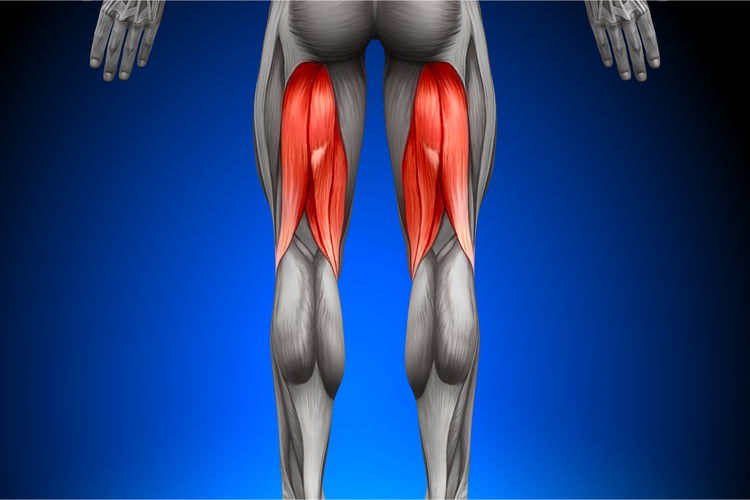 Apa Itu Hamstring Sprain? Ini Penjelasannya ....