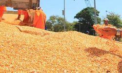 Neraca Perdagangan Pertanian Surplus, Pengamat: Impor Menurun