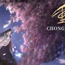 Sinopsis The Journey of Chongzi, Kisah Cinta Putri Raja Iblis