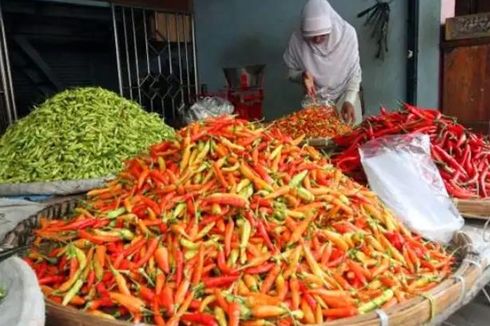 Pasokan Cabai Besar dan Rawit Cukup Jelang Ramadhan, Mentan: Kenaikan Harga Terkendali