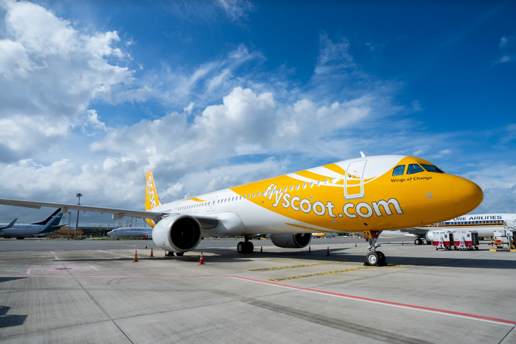 Pesawat Scoot A321 Neo yang membawa wisatawan ke Jeju, Korea Selatan. 