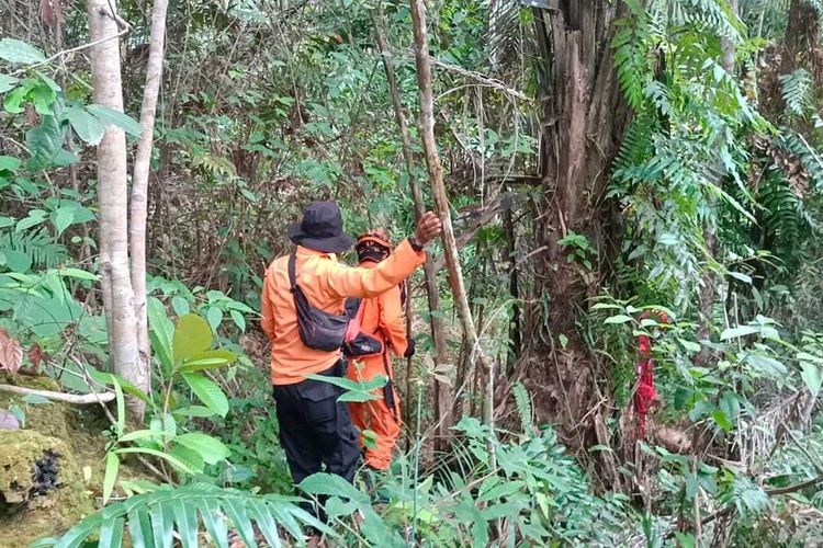 Tim SAR lakukan pencarian terhadap lansia yang tersesat di hutan Samboja saat berkemah
