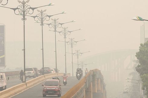 Riau Dikepung Kabut Asap, Greenpeace: Ini Indikasi Kegagalan Pemerintah