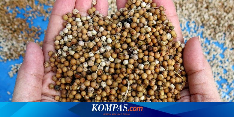 Wisata Jalur Rempah Indonesia, Apa Itu?