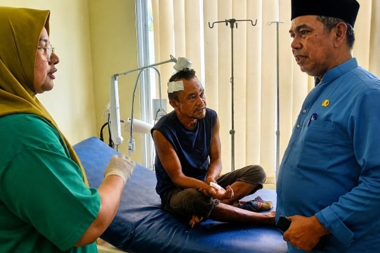 Korban Serangan Monyet Liar di Inhil Riau Bertambah Jadi 14 Orang, Belum Tertangkap