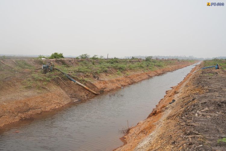 Proyek Cetak Sawah Merauke Bertambah hingga 2.000 Hektar, Air Dijamin Aman