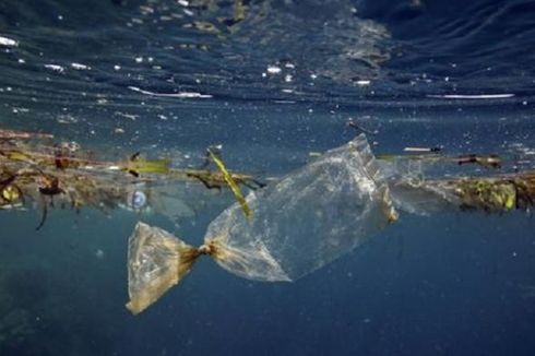 Pakar Ciptakan Sistem Pembersihan Sampah Plastik di Lautan Pasifik