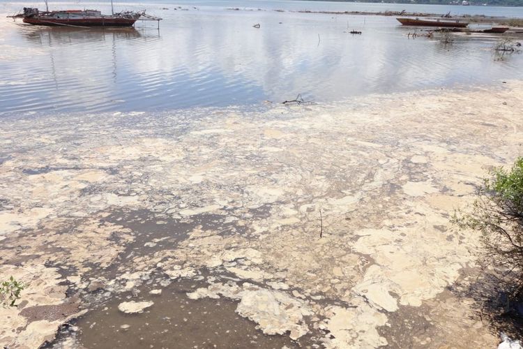 Tampak cairan mirip limbah mengapung di perairan Desa Bajo, Kabupaten Bima, Jumat (9/2/2024).