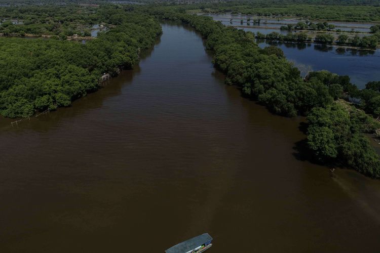 Ilustrasi: wisata mangrove Wonorejo, Surabaya, Jawa Timur, Sabtu (25/5/2019).