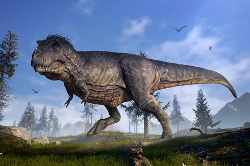 Studi Baru Sebut Lengan Kecil T-rex Turunkan Risiko Tergigit Saat Berburu
